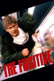 The Fugitive – Evadatul (1993)