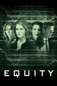 Equity (2016) – Capital propriu