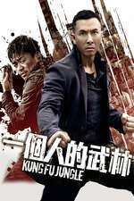 Kung Fu Jungle (2014)