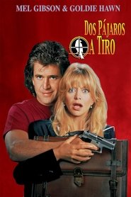 Bird on a Wire (1990)