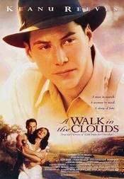 A Walk in the Clouds – Atât de aproape de cer (1995)