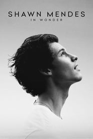 Shawn Mendes: In Wonder (2020) – Shawn Mendes: În rezonanță