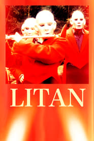 Litan (1982)