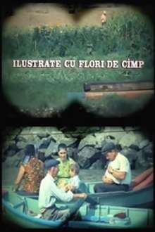 Ilustrate cu flori de câmp ( 1975)