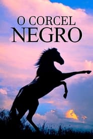 The Black Stallion (1979) – Armăsarul negru