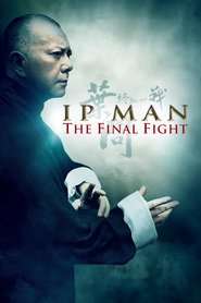 Ip Man: The Final Fight – Ip Man: Bătălia Finală (2013)
