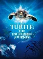 Turtle: The Incredible Journey – Broscuţa – incredibila călatorie (2009)