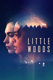 Little Woods  (2018)