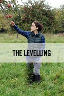 The Levelling (2016)