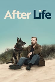 After Life (2019) – Serial TV