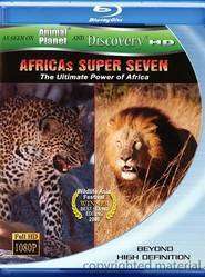 Africa’s Super Seven – Cei şapte magnifici (2005)