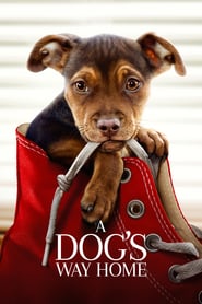 A Dog’s Way Home (2019) –  Drumul unui câine către casă