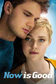 Now Is Good – Acum e momentul (2012)