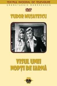 Visul unei nopți de iarnă (1980)