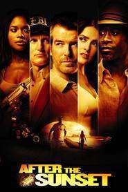 After the Sunset – Hoţ de diamante (2004)