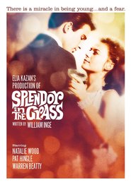 Splendor in the Grass – Splendoare în iarbă (1961)