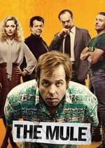 The Mule – Cărăușul (2014)