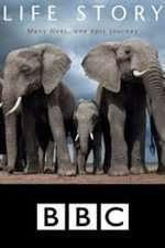 Life Story (2014) Serial TV – Sezonul 01