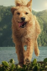 Arthur the King (2024) – Regele Arthur