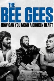 The Bee Gees: How Can You Mend a Broken Heart (2020)