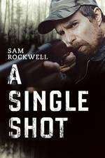 A Single Shot (2013)