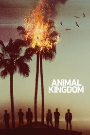 Animal Kingdom (2016) – Serial TV – Împărăția fiarelor – Sezonul 1