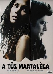 Things We Lost in the Fire – Pierderi dureroase (2007)