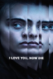 I Love You, Now Die: The Commonwealth Vs. Michelle Carter (2019)