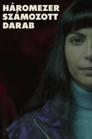 Three Thousand Numbered Pieces (2022)