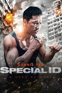 Te shu shen fen – Special ID (2013)