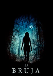 The Witch (2015) – The VVitch: A New-England Folktale