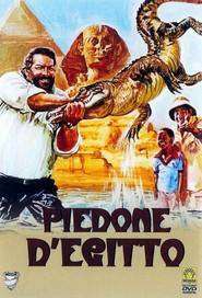 Piedone d’Egitto – Piedone în Egipt (1980)