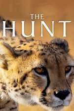 The Hunt (2015) – Miniserie TV