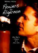 Flowers for Algernon – Flori pentru Algernon (2000)